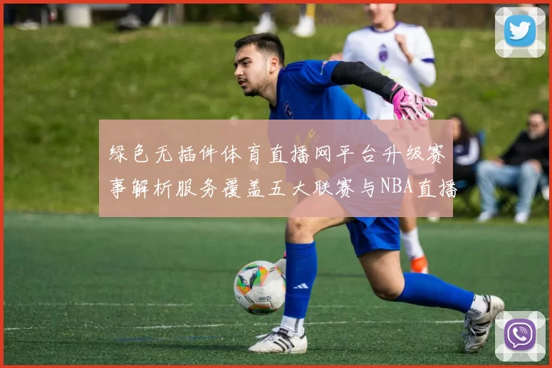 绿色无插件体育直播网平台升级赛事解析服务覆盖五大联赛与NBA直播体验提升