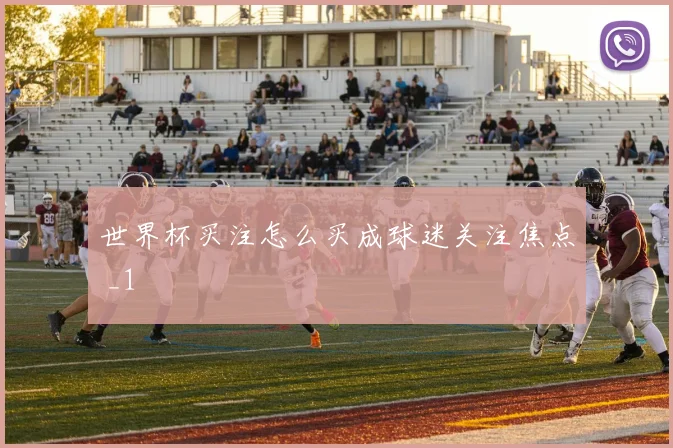世界杯买注怎么买成球迷关注焦点 _1