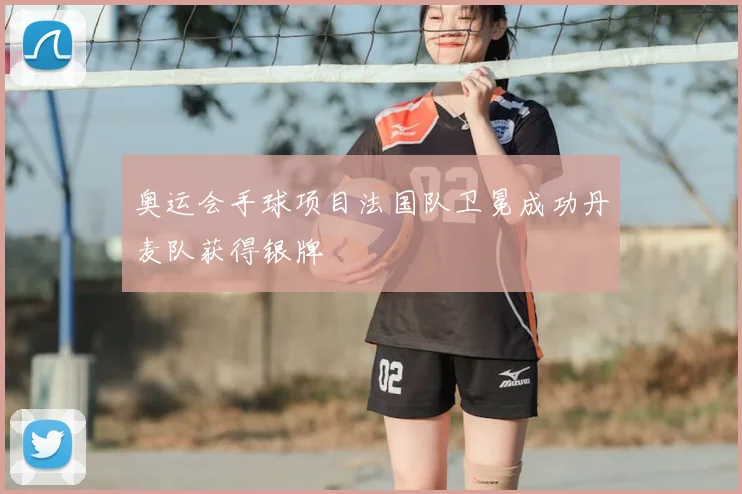 奥运会手球项目法国队卫冕成功丹麦队获得银牌